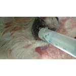 Використання Maxi Wash при стоматиті